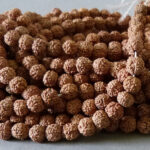 Rudraksha Samen Perle 7 mm