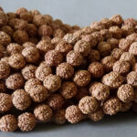 Rudraksha Samen Perle 7 mm - Image 3