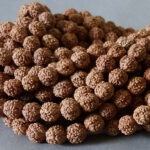 Rudraksha Samen Perle 10 mm