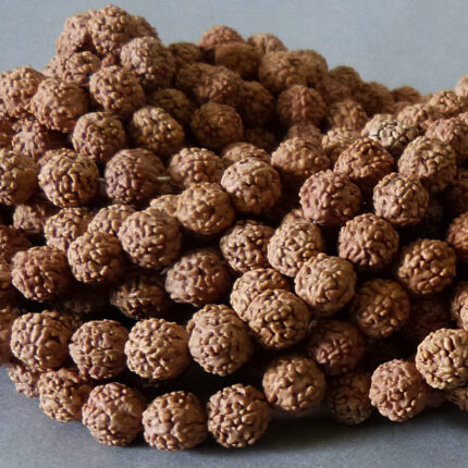 Rudraksha Samen Perle 10 mm